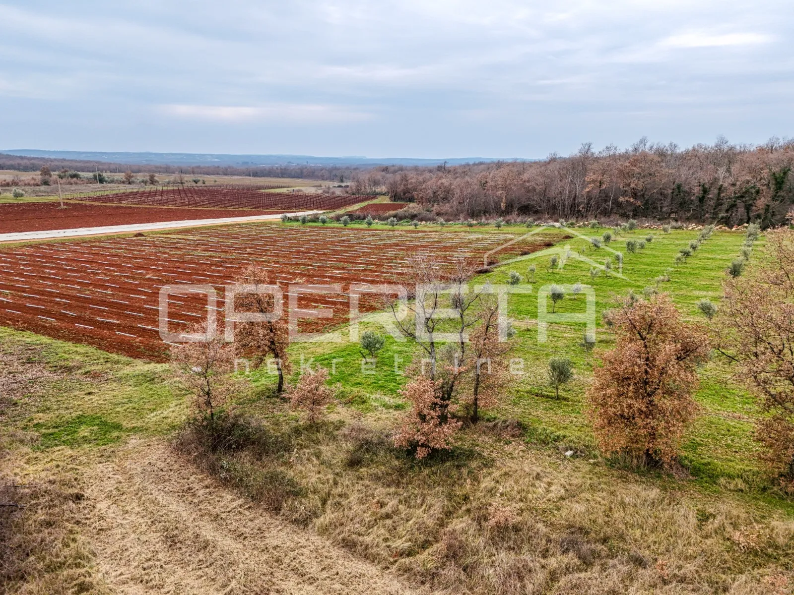 kaštelir, kaštelir-labinci, 5.677,00 m2, 110.000,00 eur - slika 5