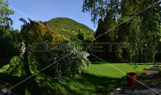 najam, kuća, jablanovec, vinski put, samostojeća, 240m2 - slika 8