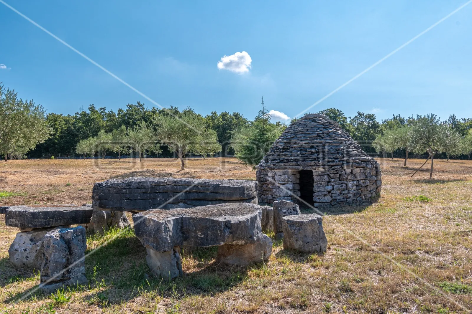 predivan maslinik blizu peroja s pogledom na more i vodom, potencijal za opg i t - slika 6
