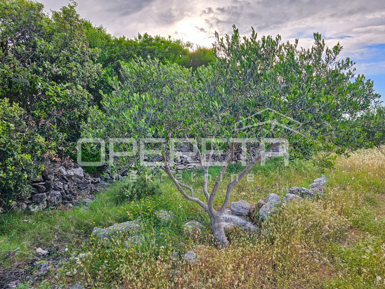 veliko poljoprivredno imanje na vrhu hvara s panoramskim pogledom - slika 22