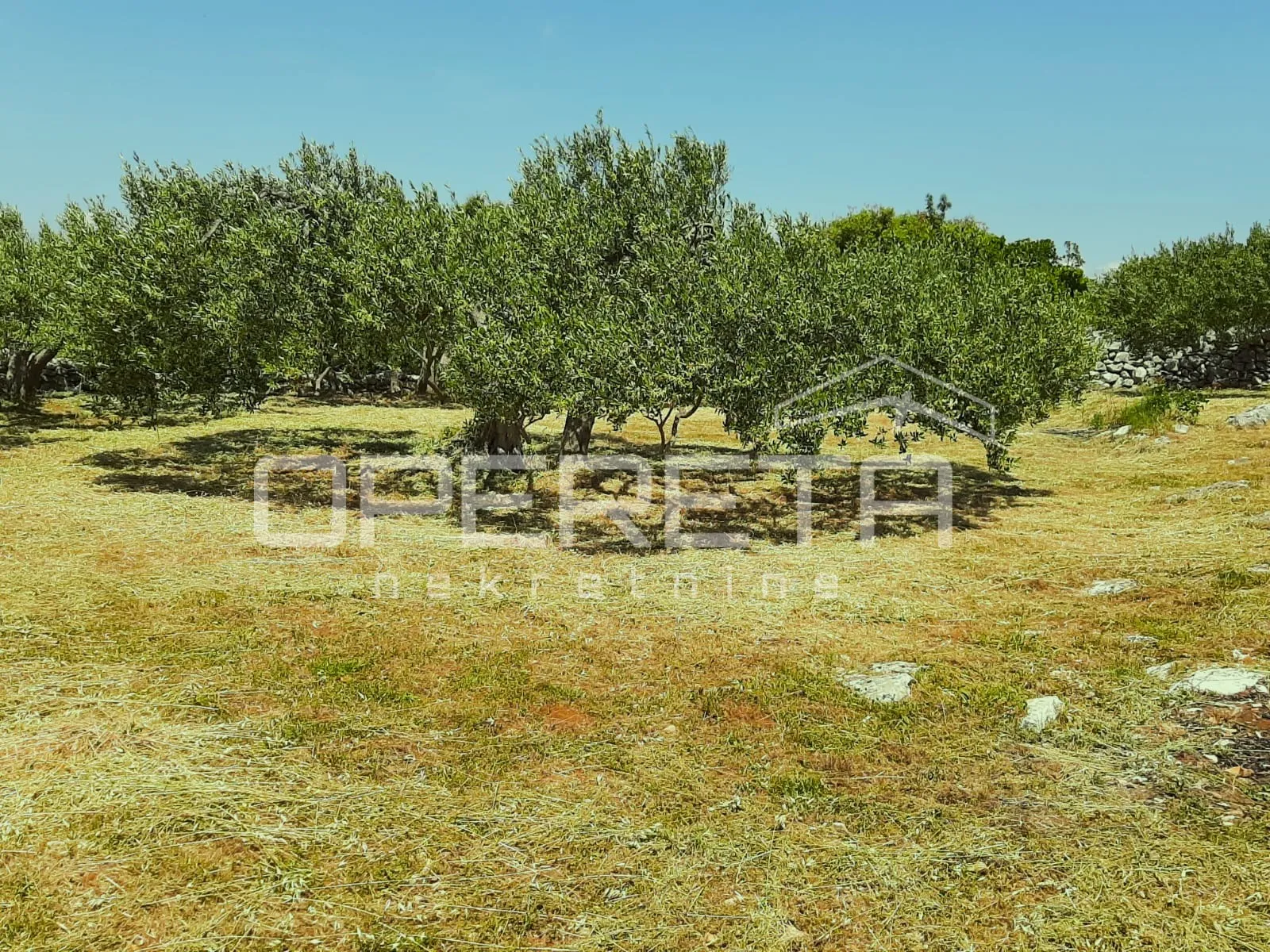 poljoprivredno zemljište, 4.834 m2, splitska, brač - slika 5