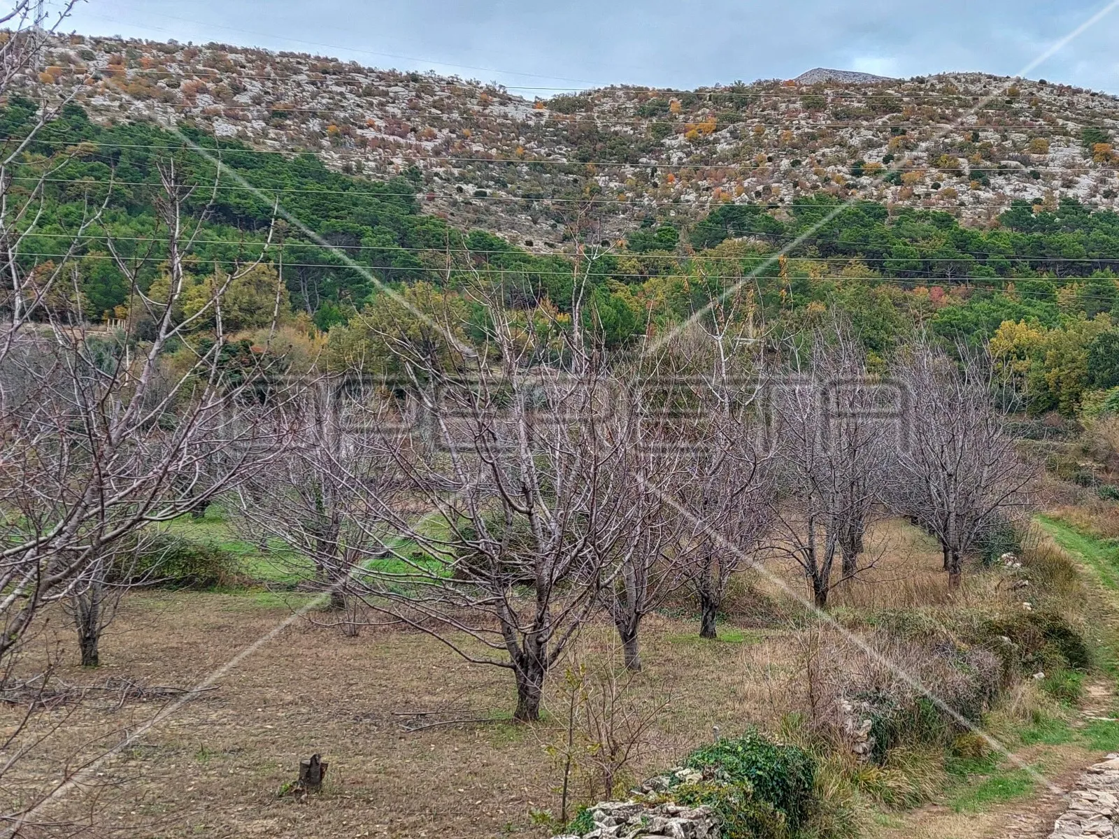 tugare, naklice, poljoprivredno zemljište, 332 m2 - slika 5