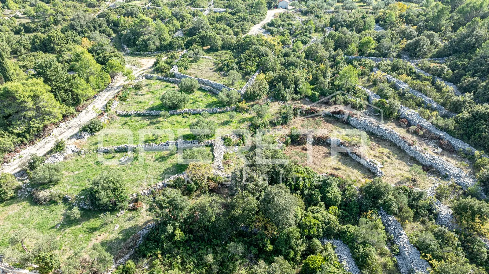 poljoprivredno zemljište od 3050 m2 s maslinama i suhozidima - slika 2