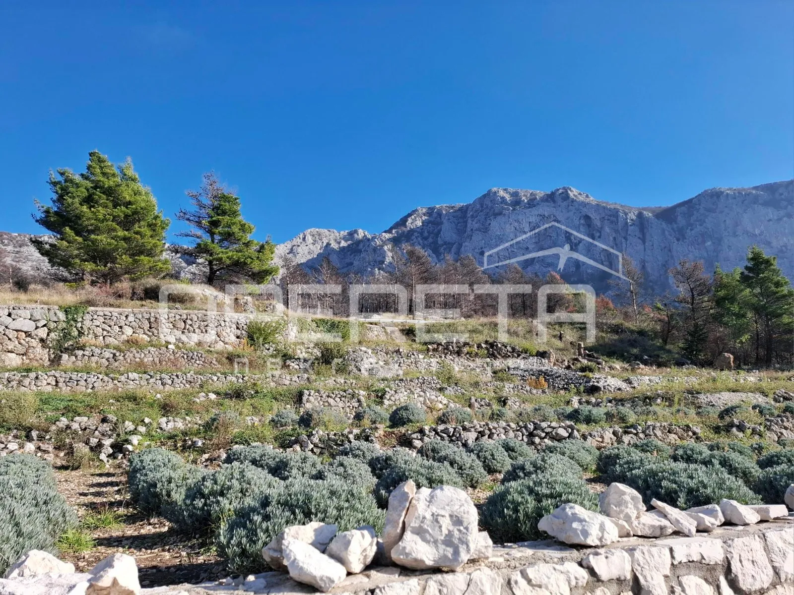 podgora - poljoprivredno zemljište s panoramskim pogledom - slika 4