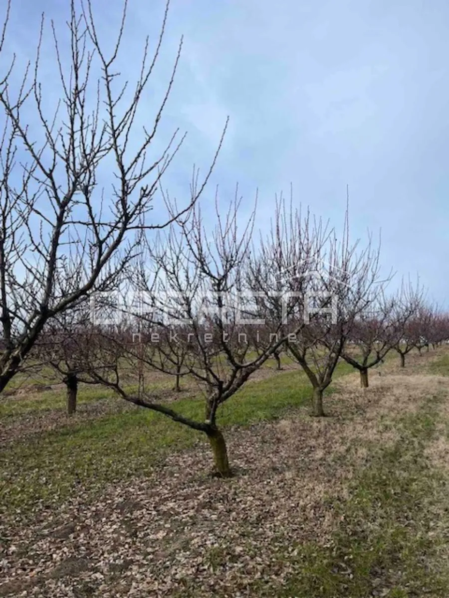 banska kosa, zemljište, 2.200.000,00 eur - slika 5