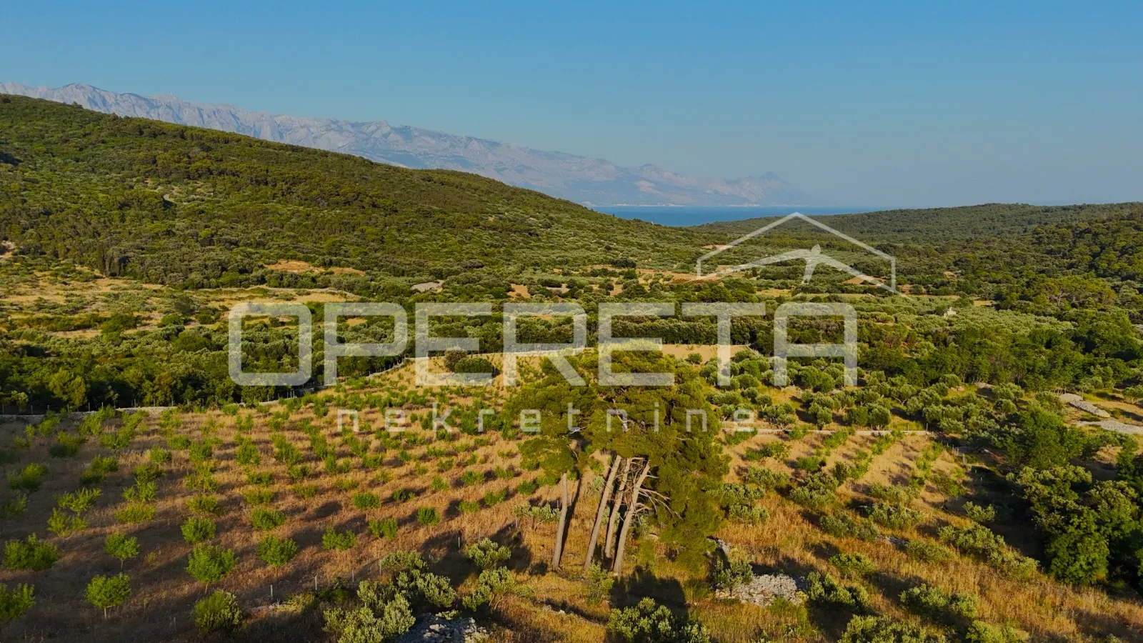 poljoprivredno zemljište s 500 badema i pogledom na more, brač - slika 7