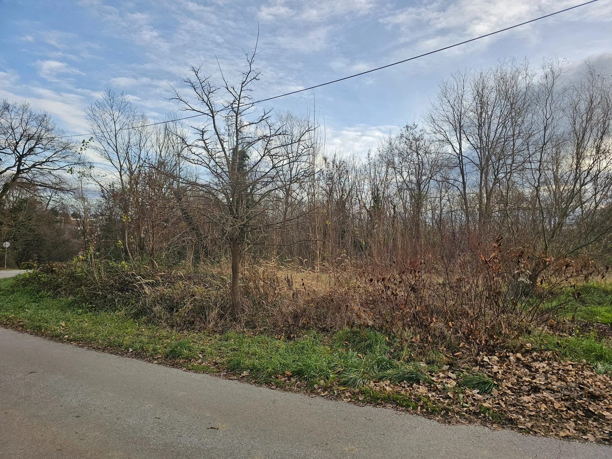 VRHUNSKA GRAĐEVINSKA PARCELA NA SVETOM DUHU – 2.880 m2 - Sveti Duh