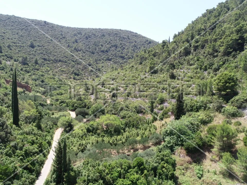 investicija u prirodi – poljoprivredno zemljište od 762m2 na korčuli - slika 6