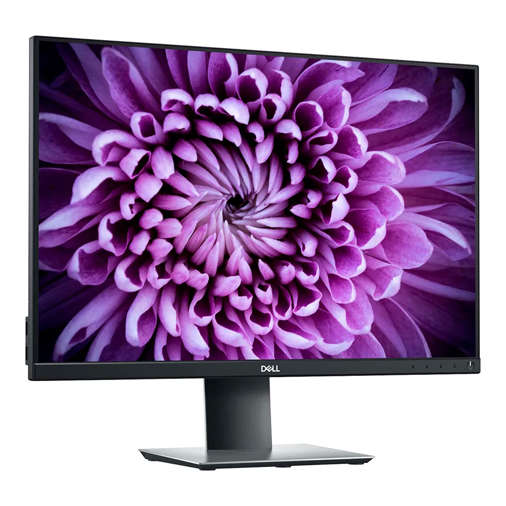 Dell P2421 24" WUXGA IPS / DisplayPort / HDMI / DVI / VGA / USB Hub - Zagreb