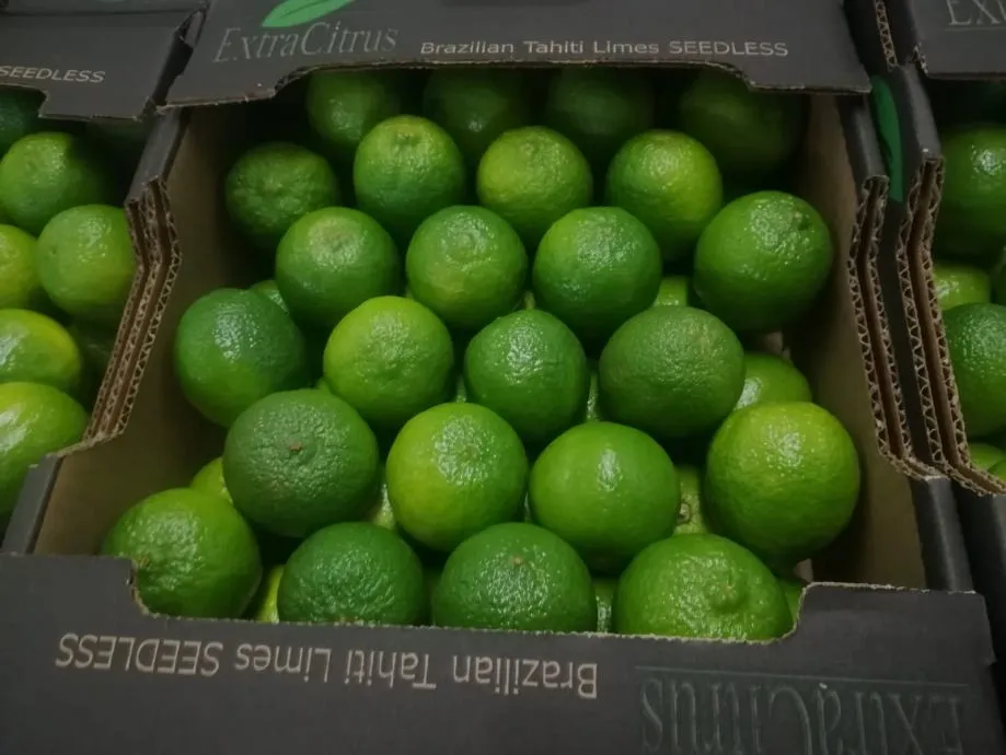limeta za koktele - slika 2
