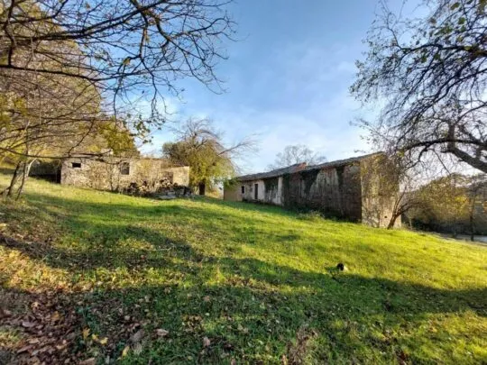 cerovlje, istarska kamena kuća s pogledom na zelenilo - slika 4