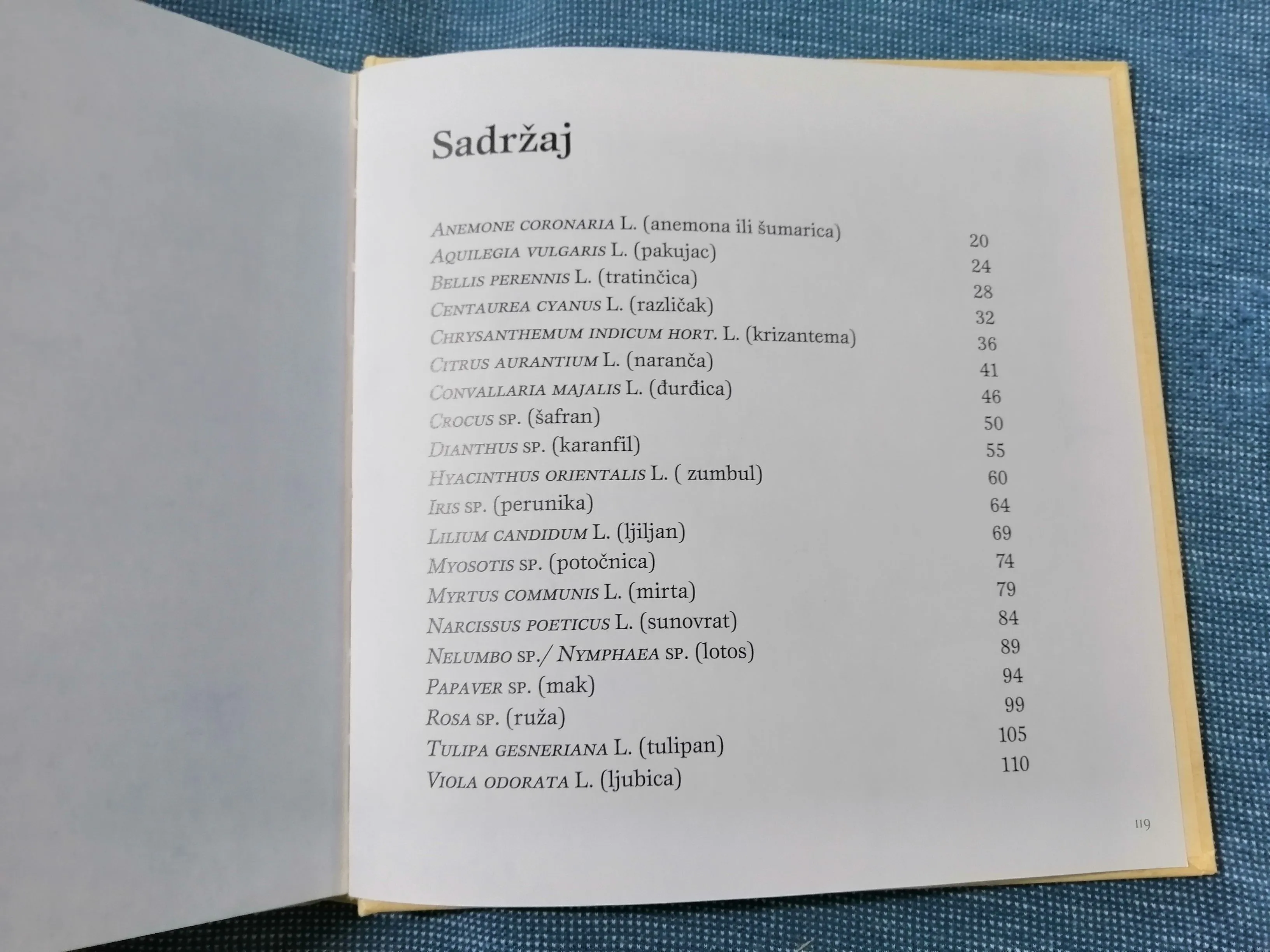 tine germ – simbolika cvijeća - slika 5