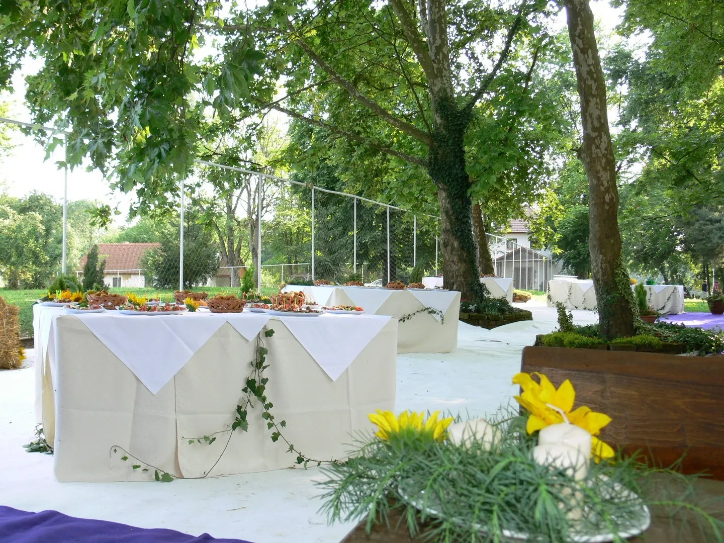 hotel višnjica - vjenčanje na otvorenom - slika 16