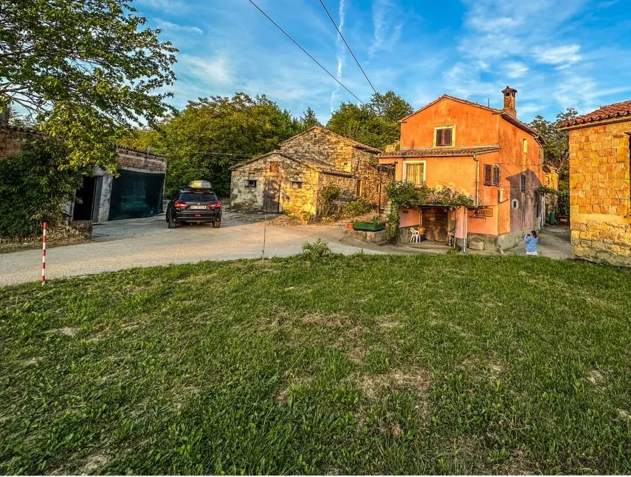 istra-malo selo s nagrađivanim vinom i maslinovim uljem (prodaja) - slika 2