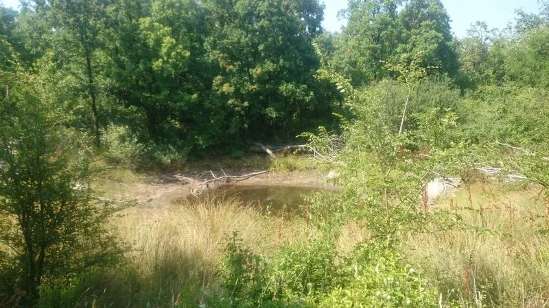 istra, ripenda, poljoprivredno zemljište 56478 m2, 5 km od rabca - slika 2