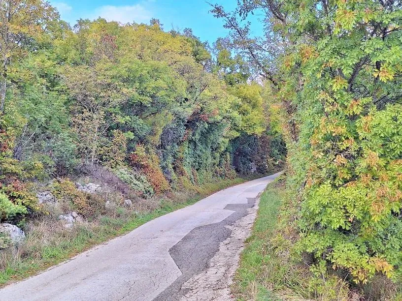 labin, ripenda kras- 4 km od rapca, 8480 m2 poljoprivredno zemljište - slika 5