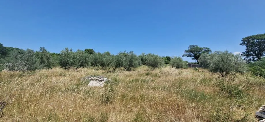 zadar, briševo, građevinsko zemljište (1108m2) - slika 5
