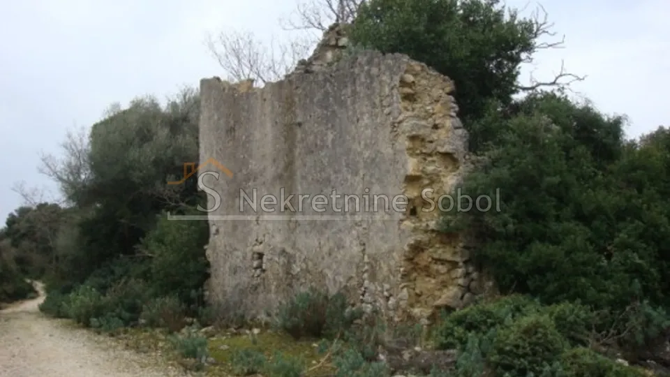 Cres, Punta Križa - Poljoprivredno, 65038 M2 Prodaja - Punta Križa, Mali Lošinj