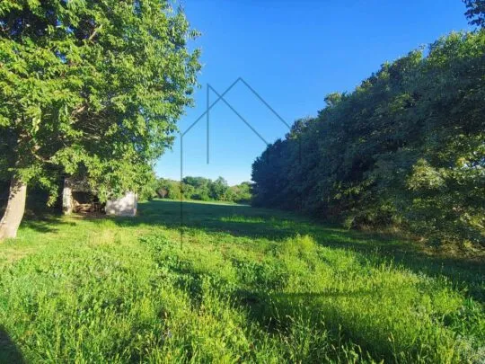 istra, barban, građevinsko zemljište. - slika 2