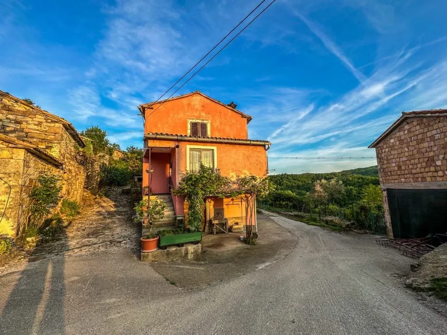 istra-malo selo s nagrađivanim vinom i maslinovim uljem (prodaja) - slika 9