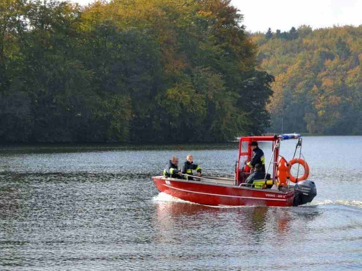viking 460s osp - slika 6