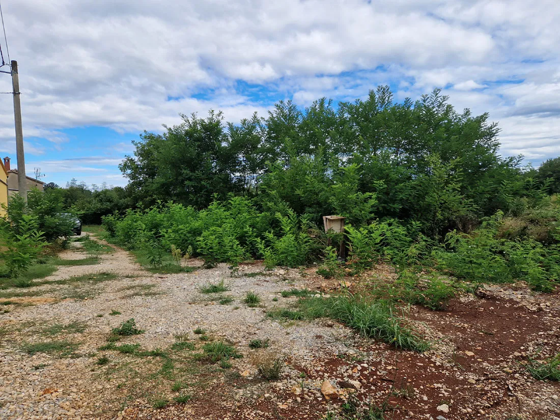 prodaja, građevinsko zemljište, višnjan okolica, 582 m², z-659 - slika 6