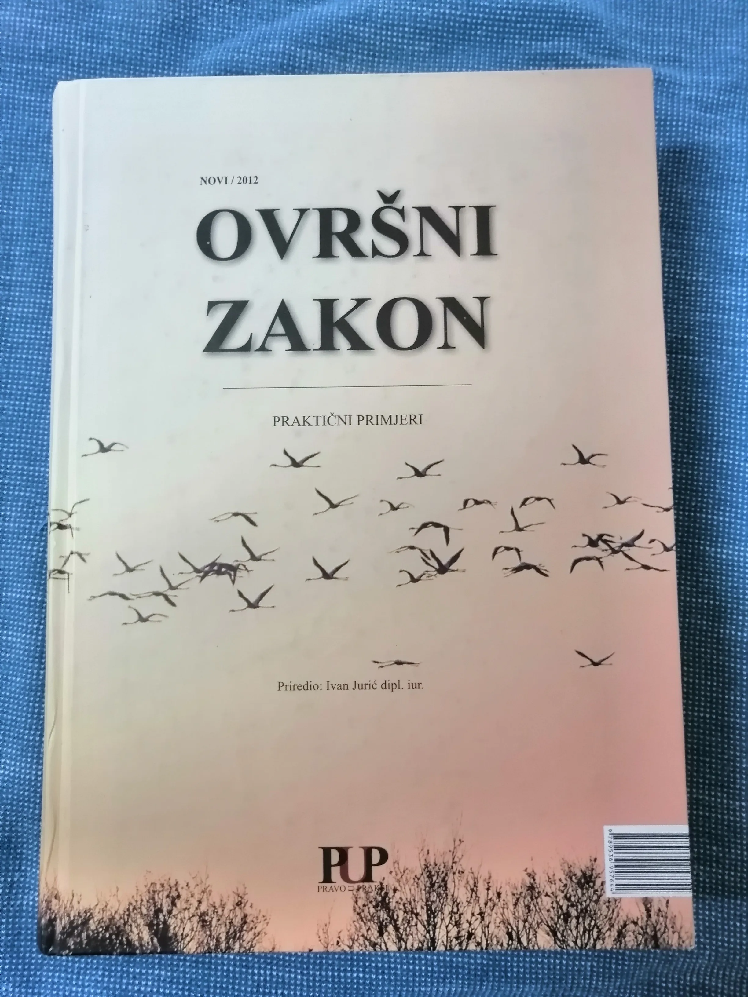 Ivan Jurić – Ovršni zakon : praktični primjeri - Zagreb