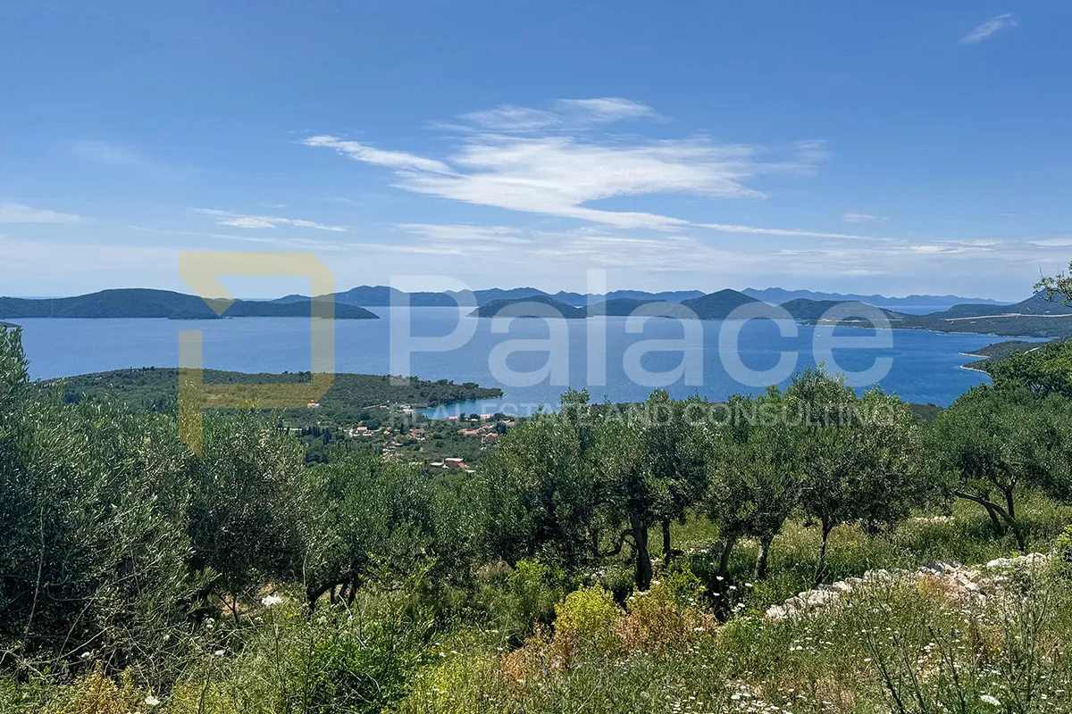 zemljište s maslinama i pogledom na more, trnova, dubrovačko primorje - slika 2