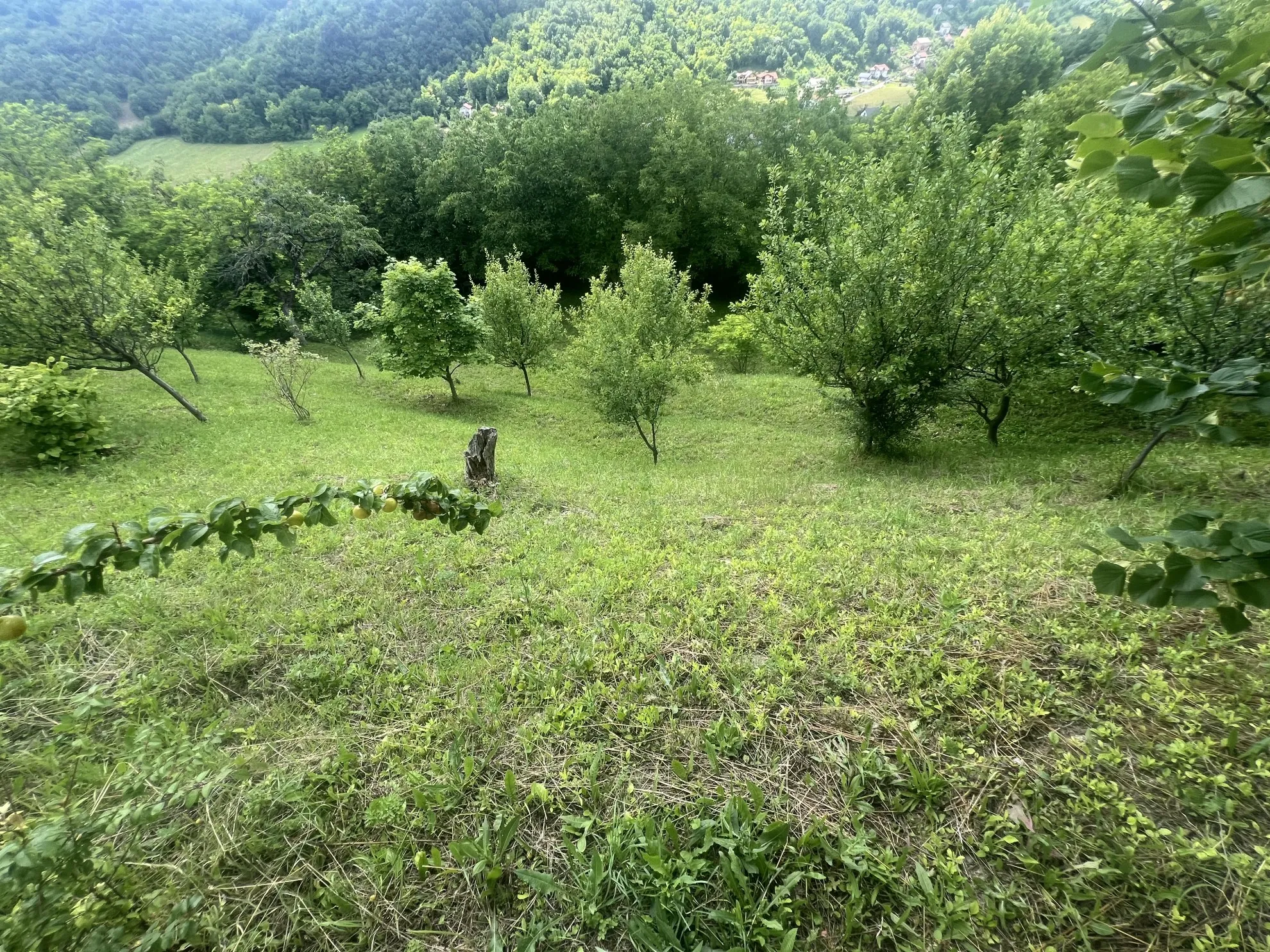*sniženo*sniženo* zagreb-kašina: vrhunski uređeno zemljište sa objekto - slika 8