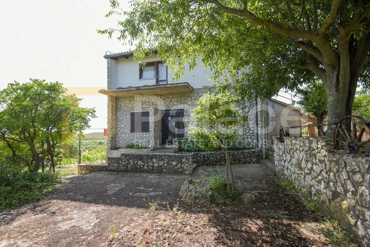 stambeno poslovna kuća s velikom okućnicom, stankovci-crljenik, 300 m2 - slika 3