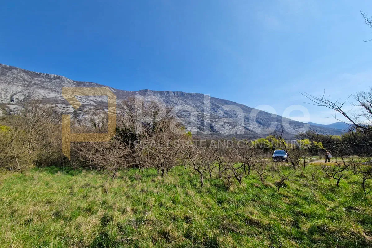 drivenik – poljoprivredno zemljište 967 m², mir i priroda - slika 3