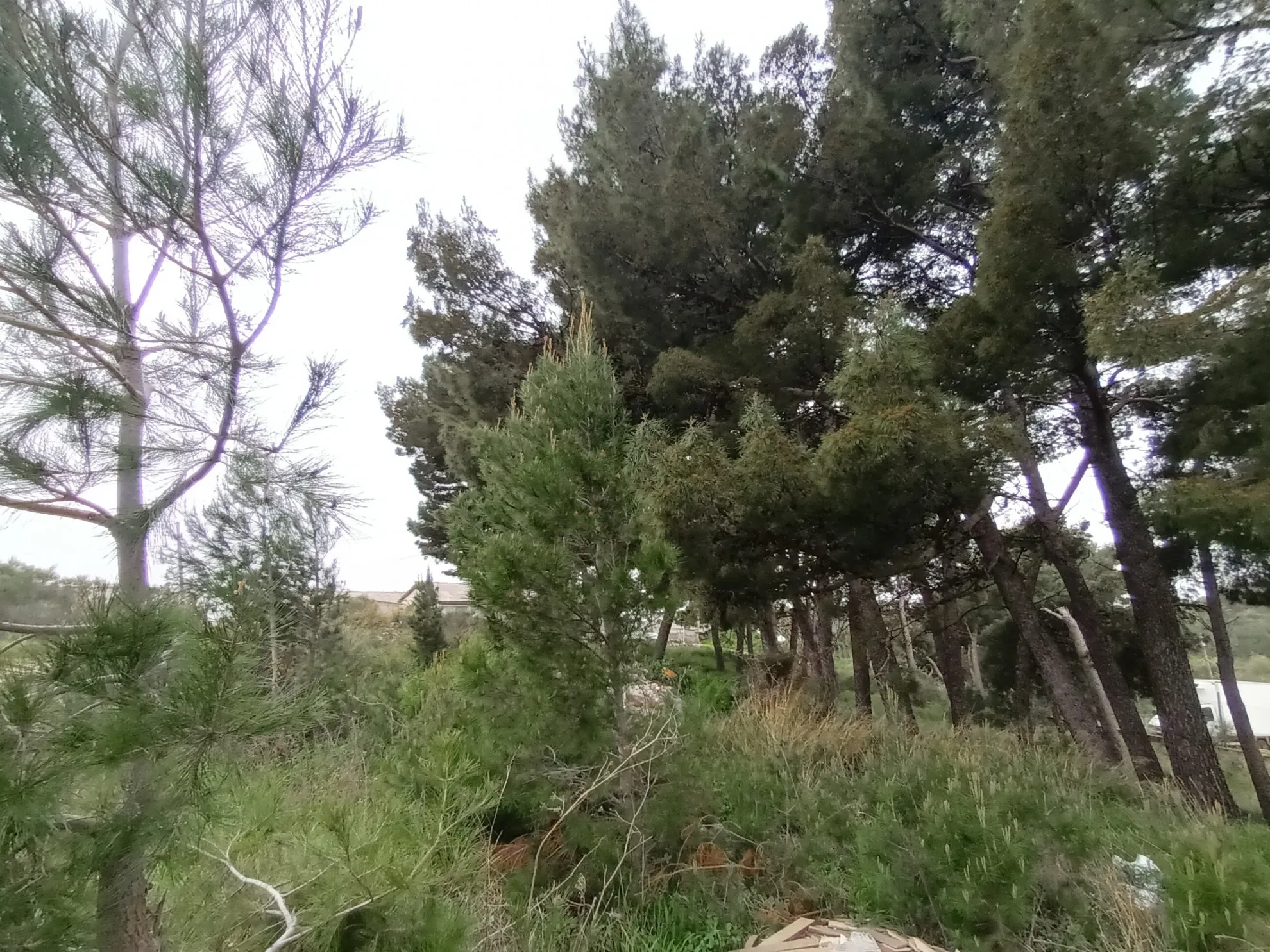 građevinsko zemljište, solin, 1813 m2 - slika 8