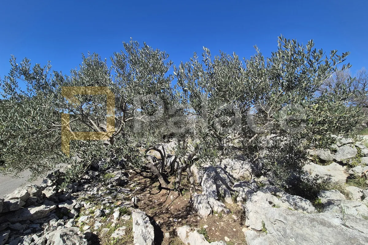 poljoprivredno zemljište u primoštenu 4 584 m2 - slika 3