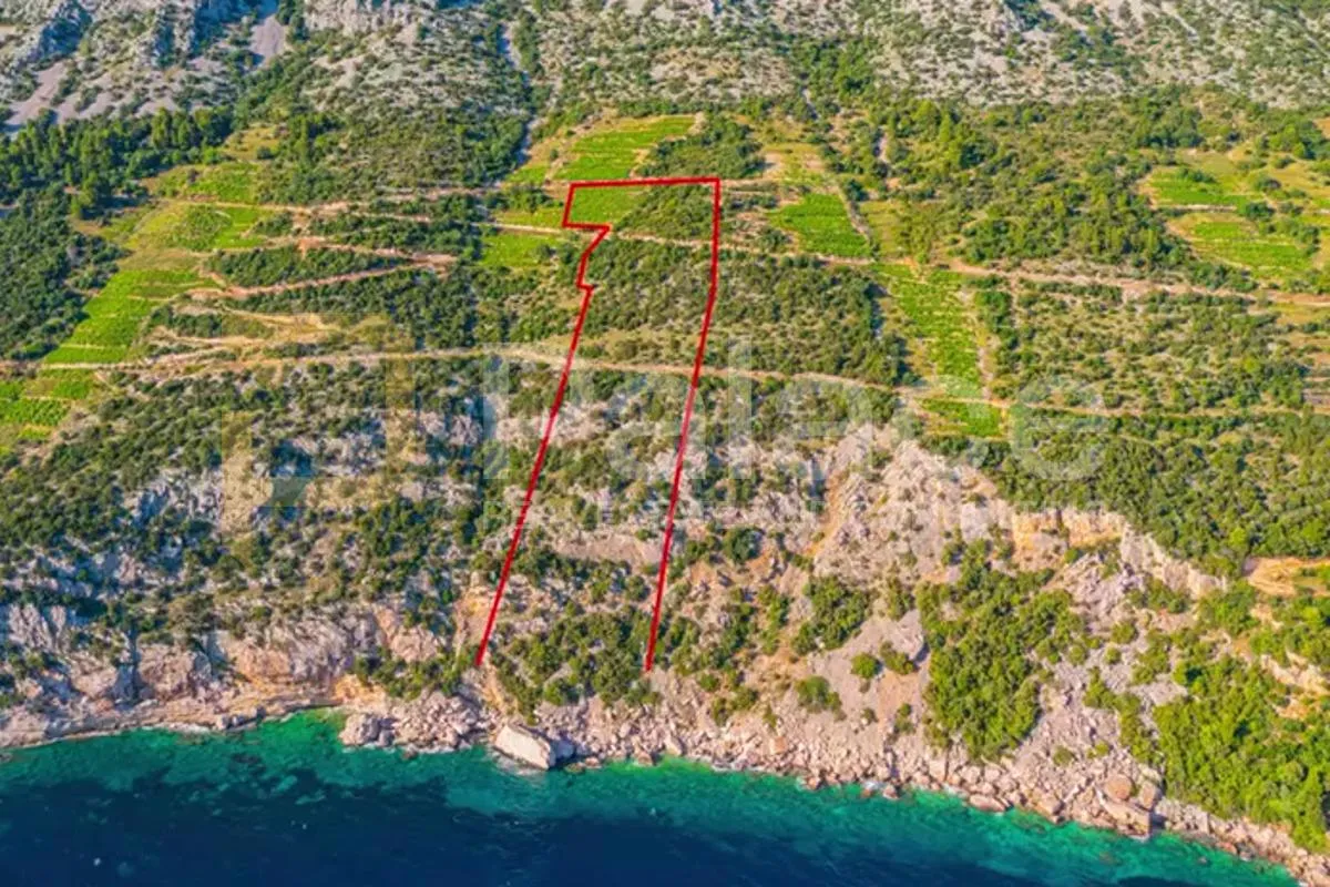 vinograd s pogledom na more i otoke - pelješac, dingač - slika 7