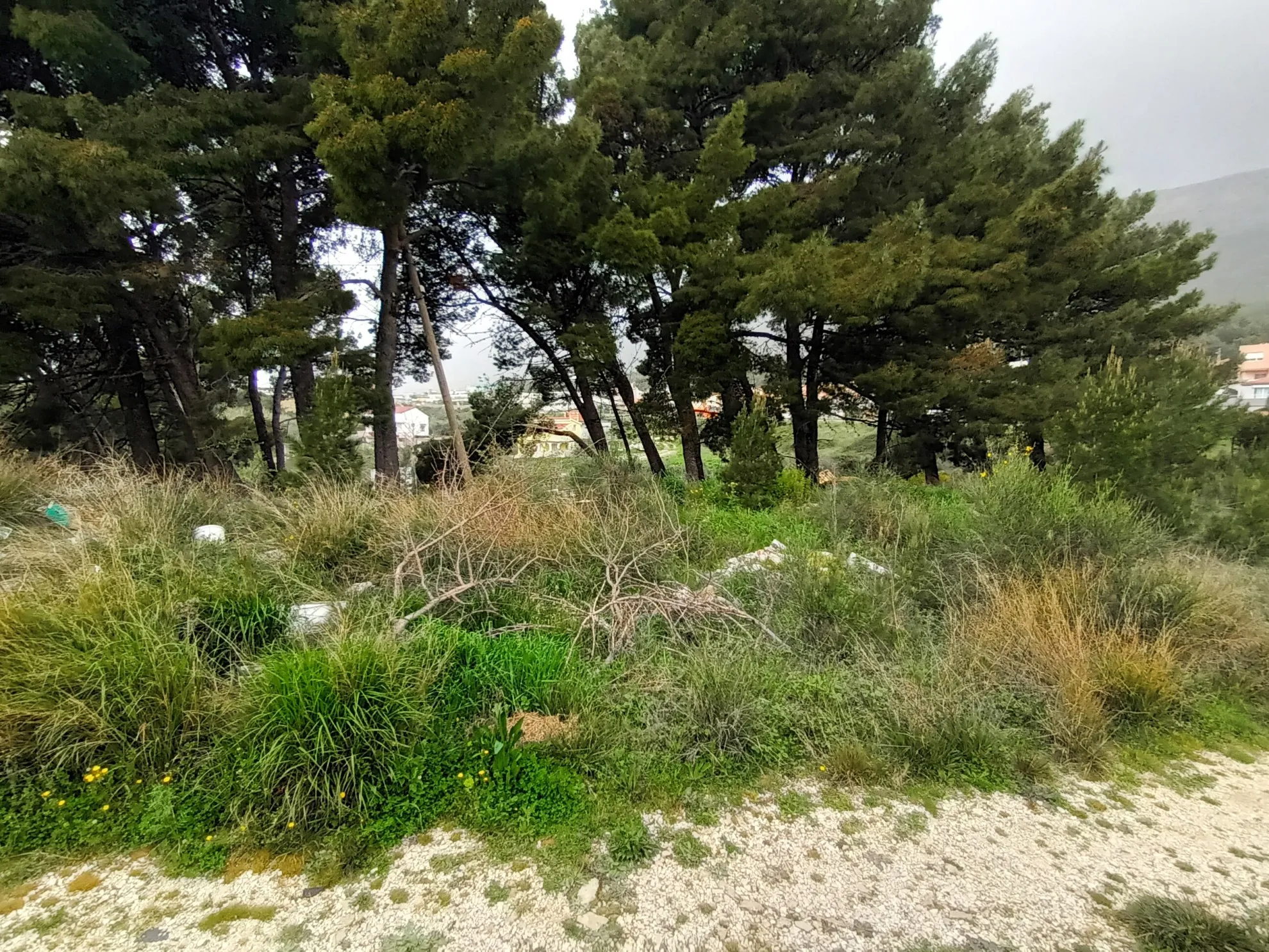 građevinsko zemljište, solin, 1813 m2 - slika 3