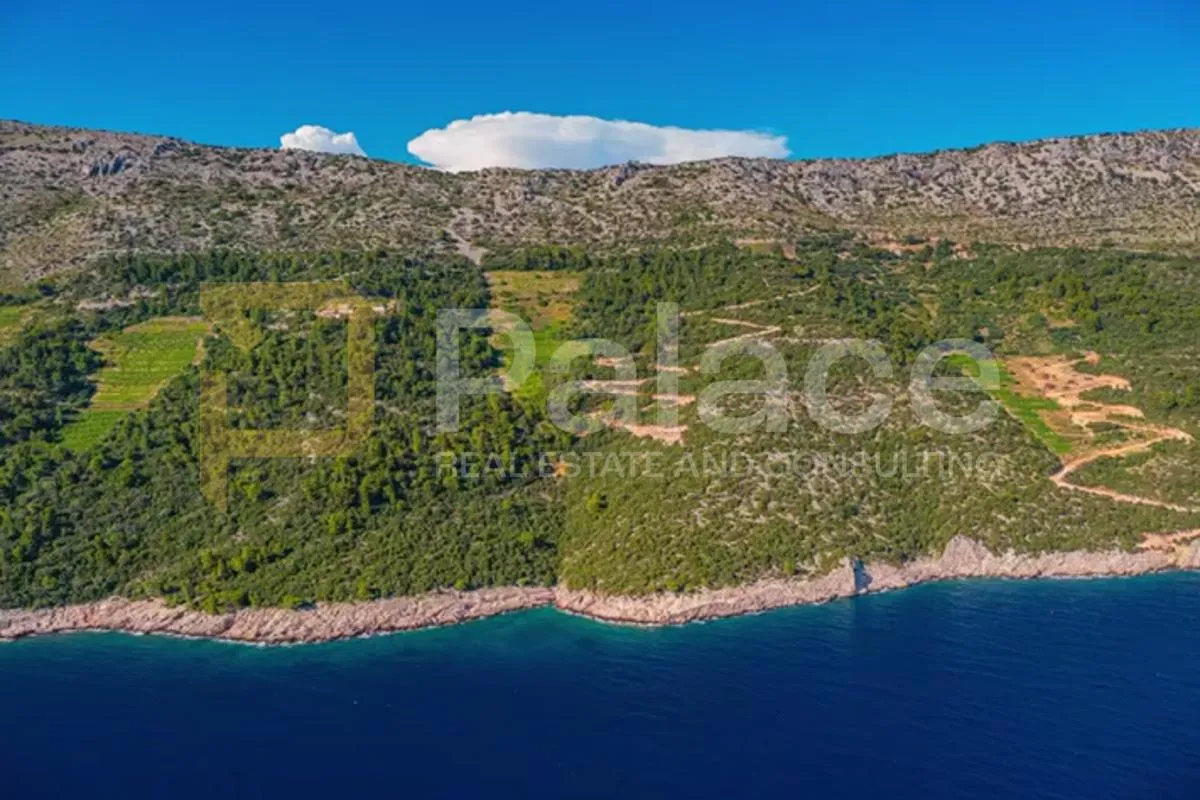 poljoprivredno zemljište s vinogradom, 40.000 m² uz more - pelješac - slika 4