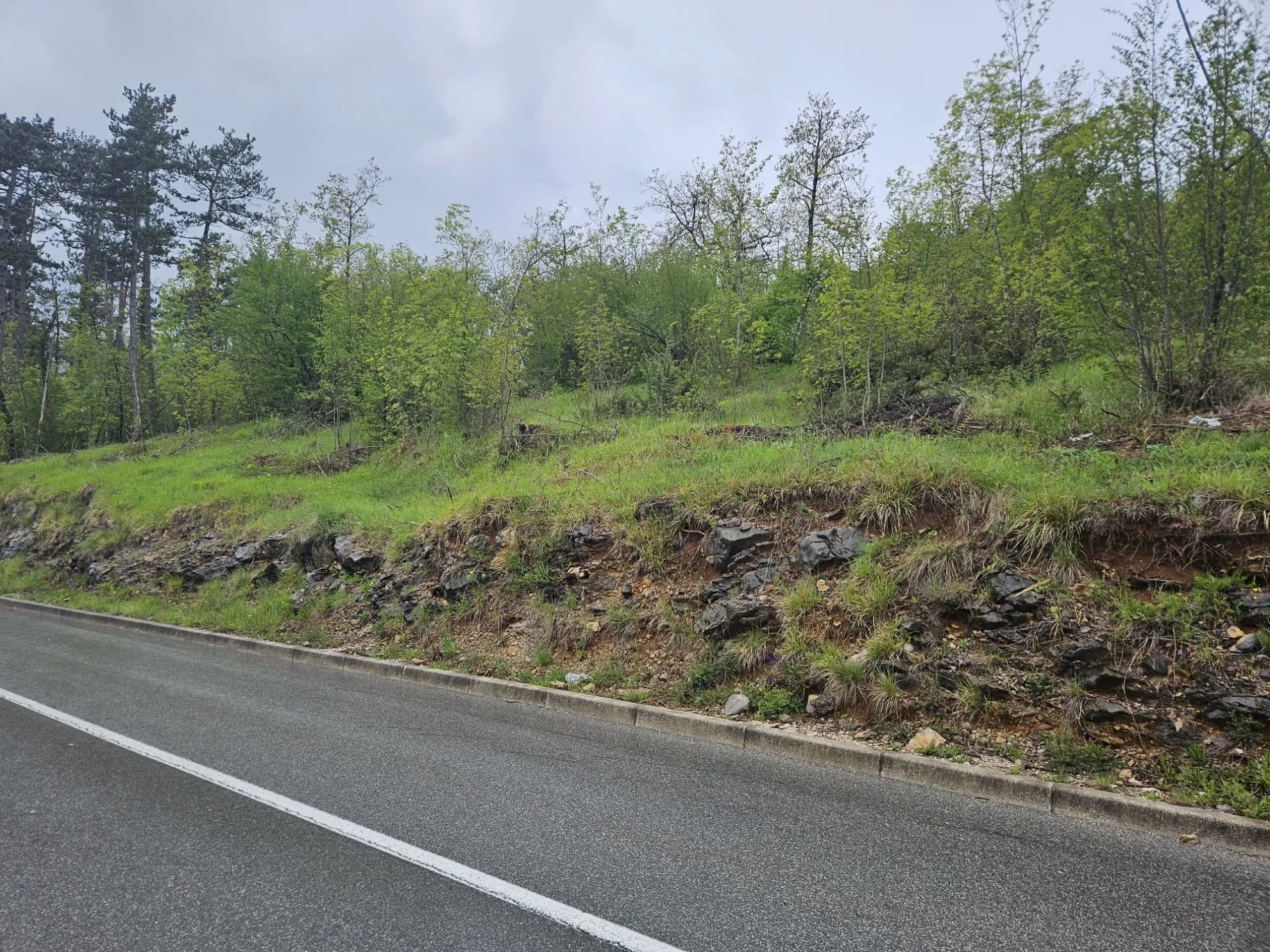 poljoprivredno zemljište uz cestu – mali brgud, 3339m2 - slika 2