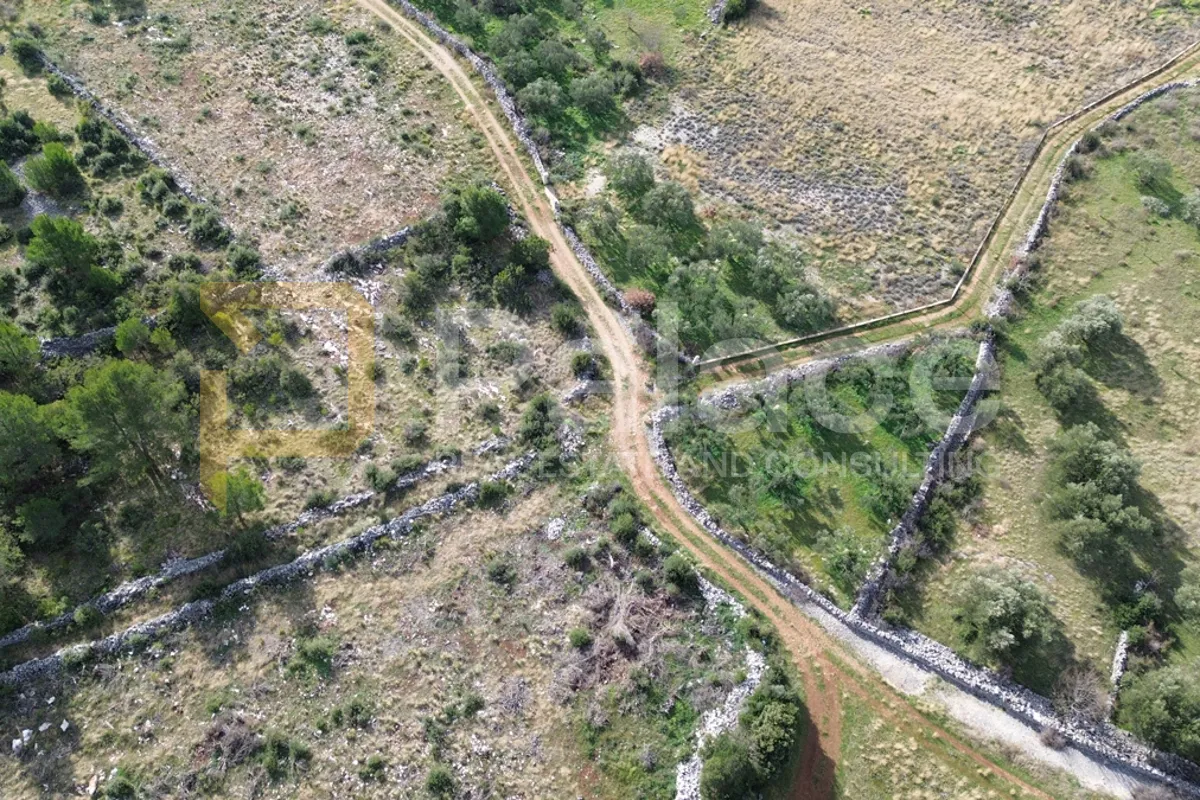 građevinsko zemljište u dubravi, 3021 m2 - slika 6
