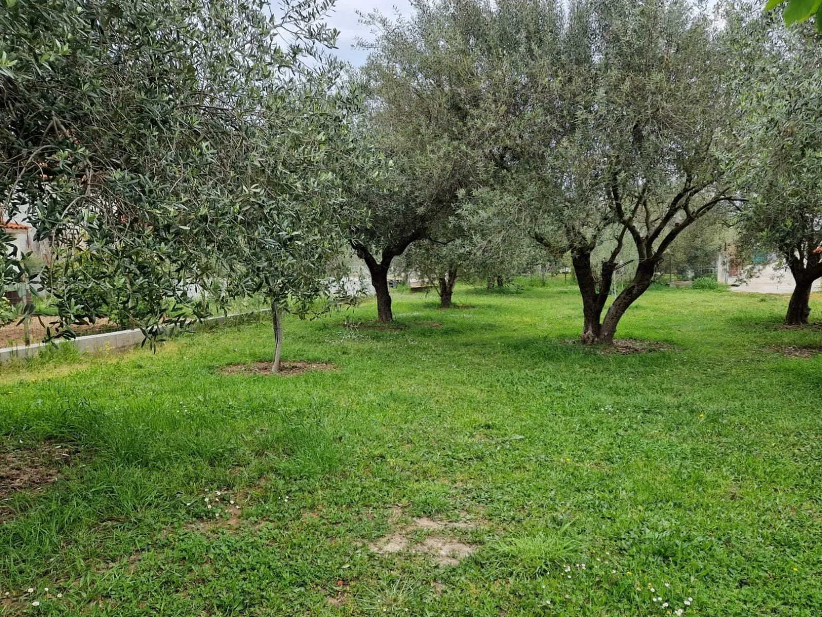 Poljoprivredno zemljište (Z) u širom centru grada Zadar, 564 m2