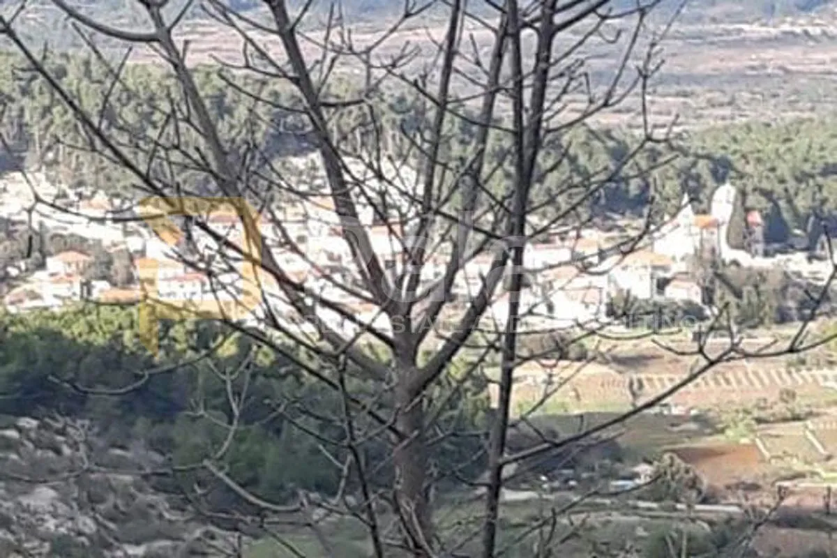 poljoprivredno zemljište, vrisnik na hvaru, 24000m² - slika 18