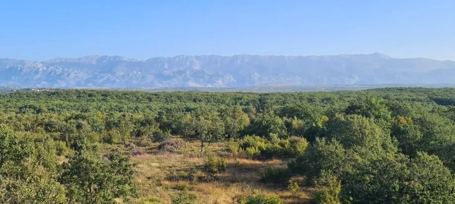 građevinsko zemljište, poličnik 2631m2 - slika 3