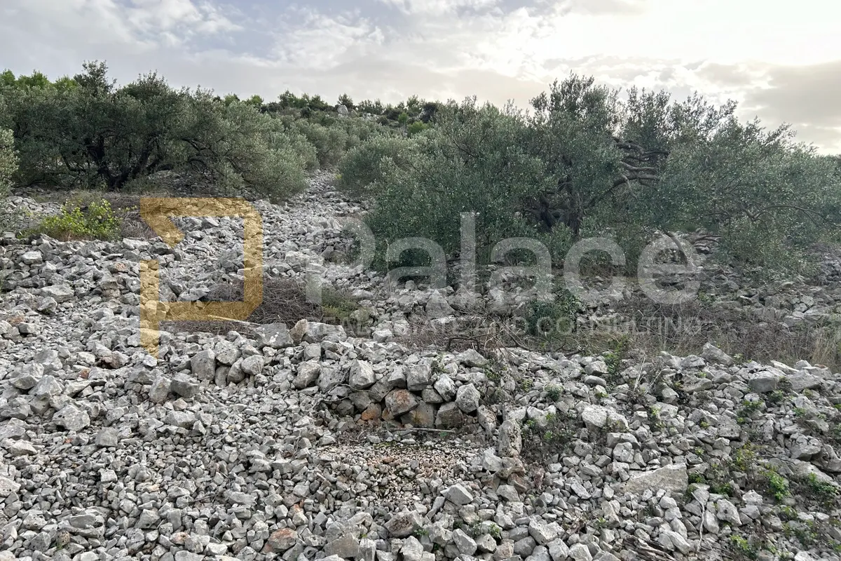 zemljište s maslinama i pogledom na more - slika 8