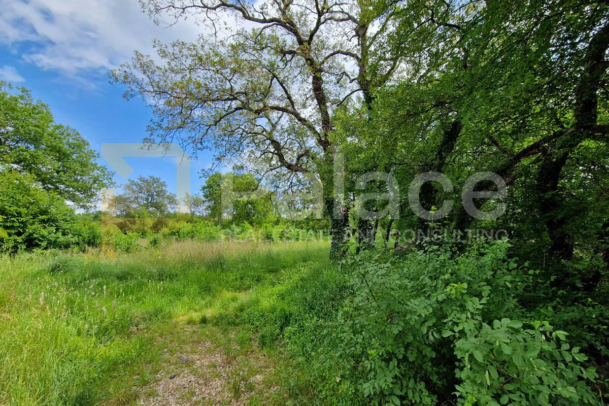 veliko zemljište s pristupom na otoku krku – rasopasno, 3.228 m² - slika 2