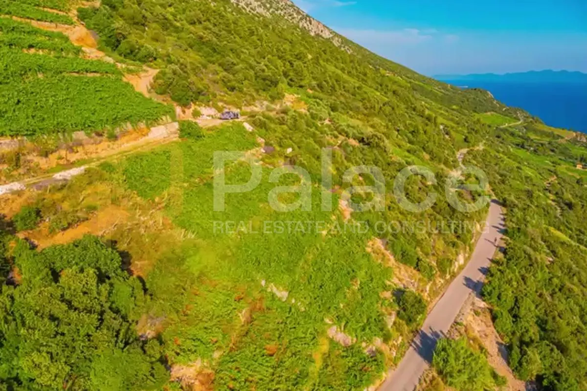 vinograd s pogledom na more i otoke - pelješac, dingač - slika 13