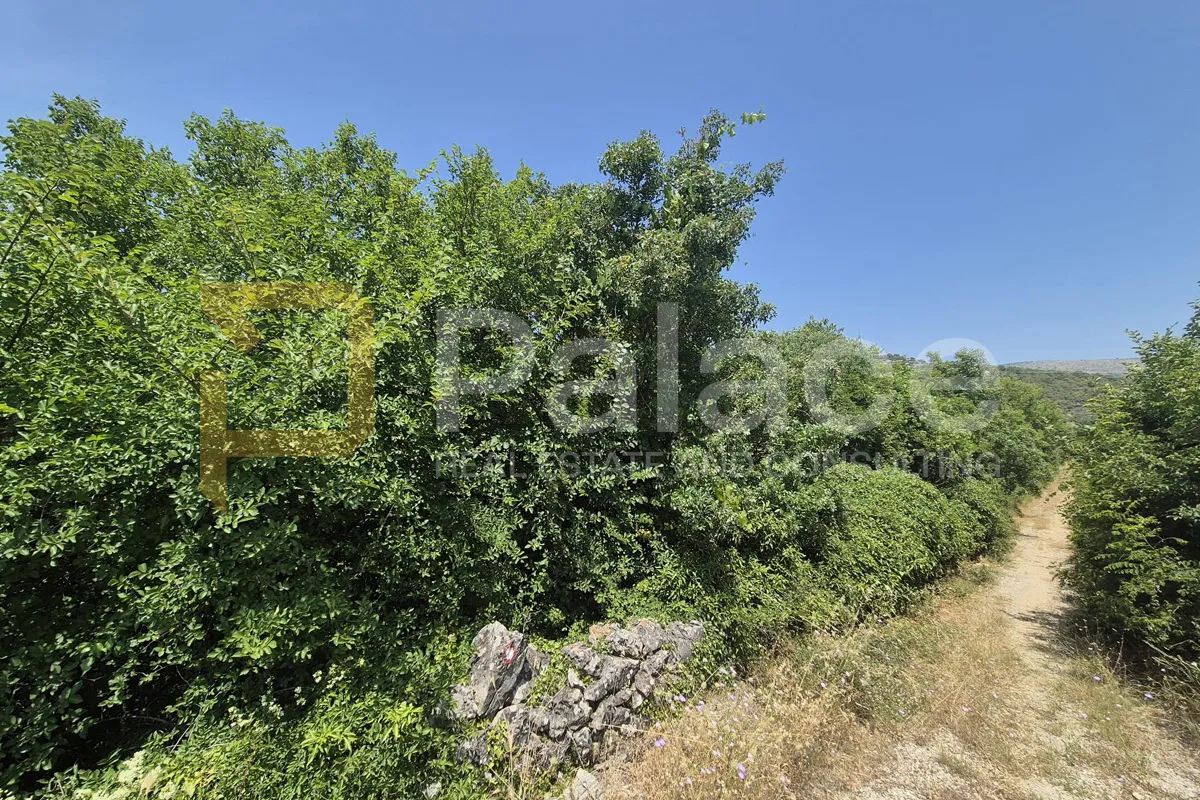 poljoprivredno neobrađeno zemljište 2607 m2 - slika 4