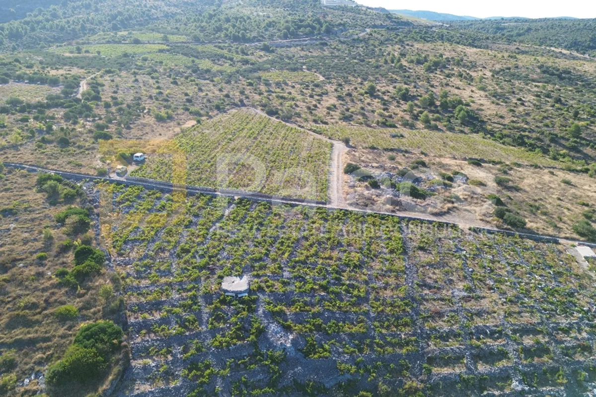 rodni vinograd uz more u primoštenu - bucavac, 6305m2 - slika 10