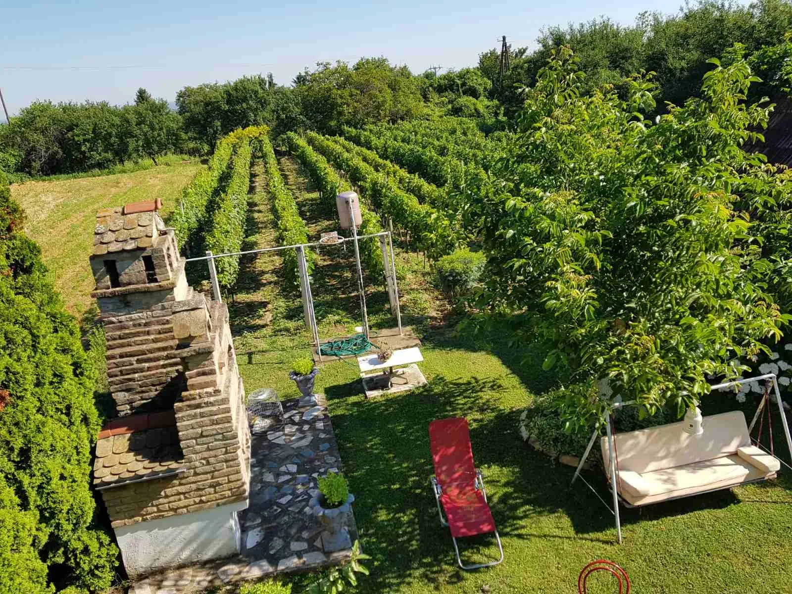 prodaja vikendice s vinogradom dalj planina - slika 10