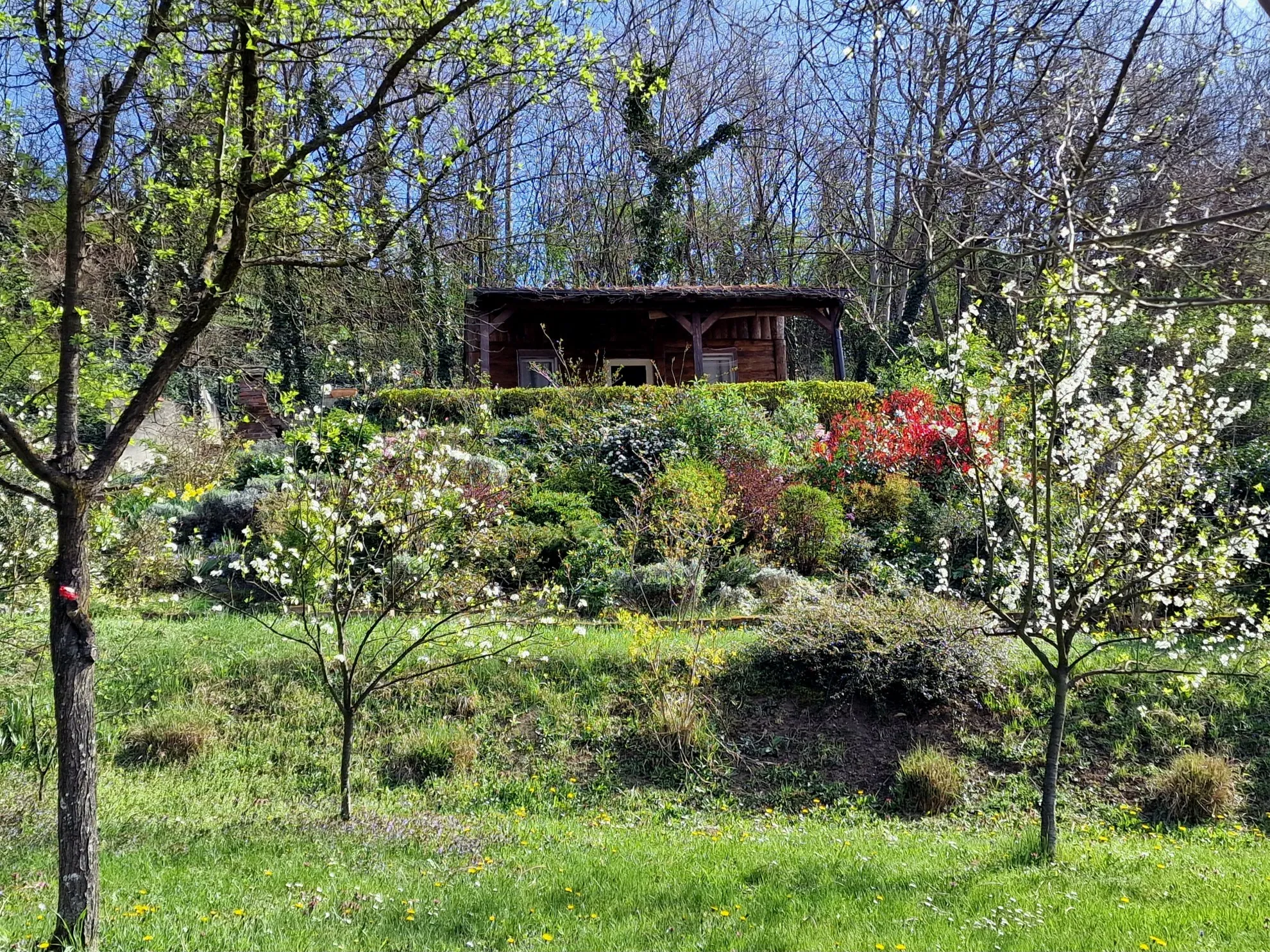 bajkovita kućica s predivnim pogledom, u zelenoj oazi, aljmaš - slika 15