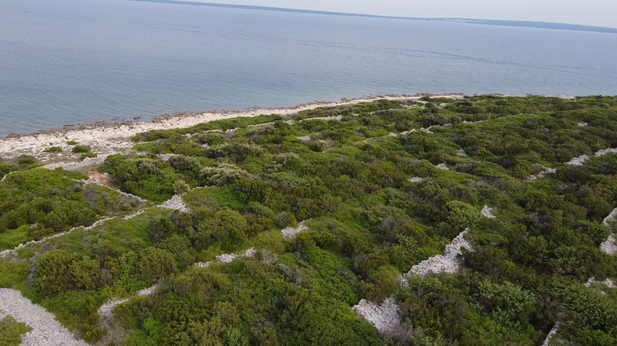 prodaja: poljoprivredno zemljište prvi red uz more, 1130 m2 - slika 9