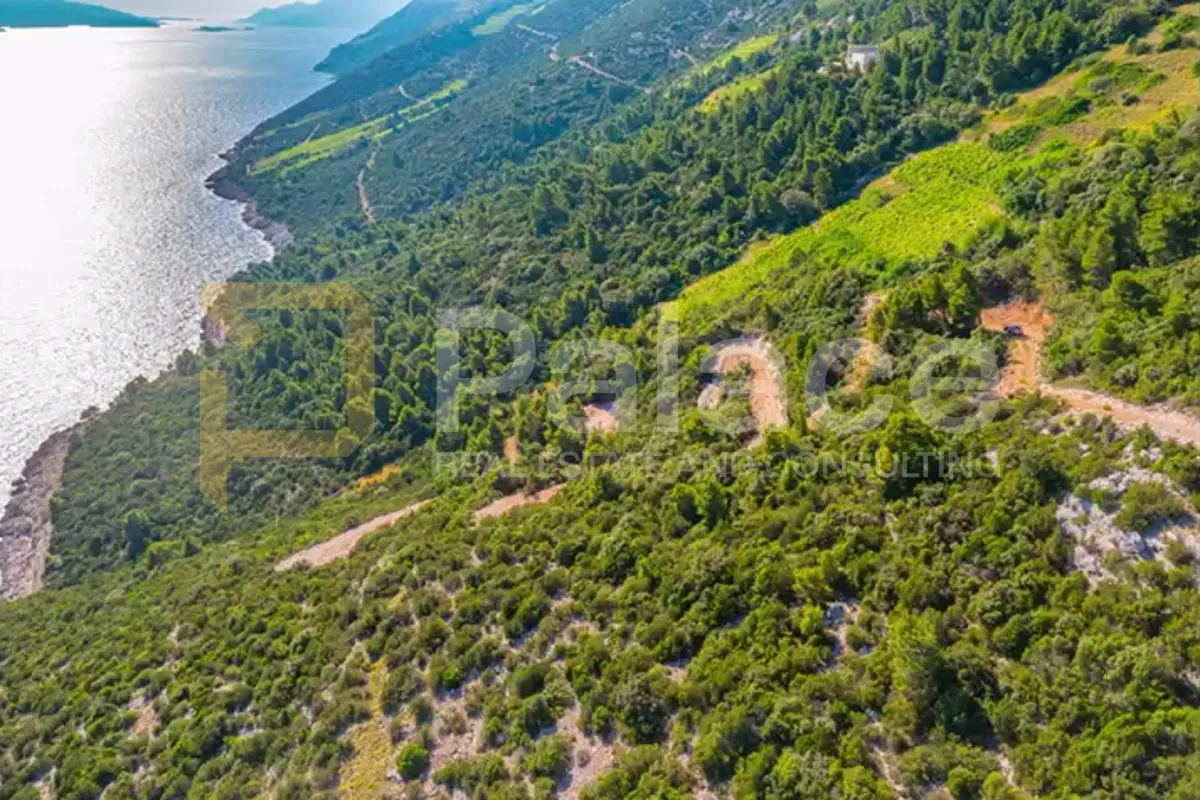 poljoprivredno zemljište s vinogradom, 40.000 m² uz more - pelješac - slika 5